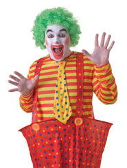 Unisex Green Clown Afro Wig