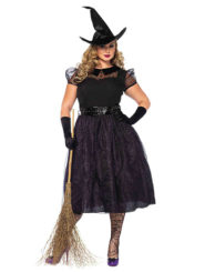 Womens Plus Size Purple Witch Costume