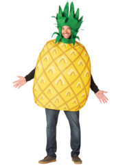 Adults Pineapple Costume